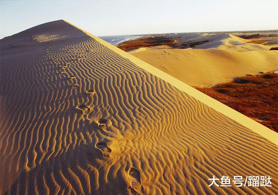 暑假想带孩子去看海, 哪里有经济实惠又不落俗