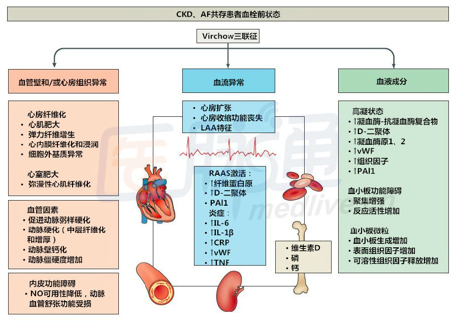 CKD患者为何易发生血栓?!