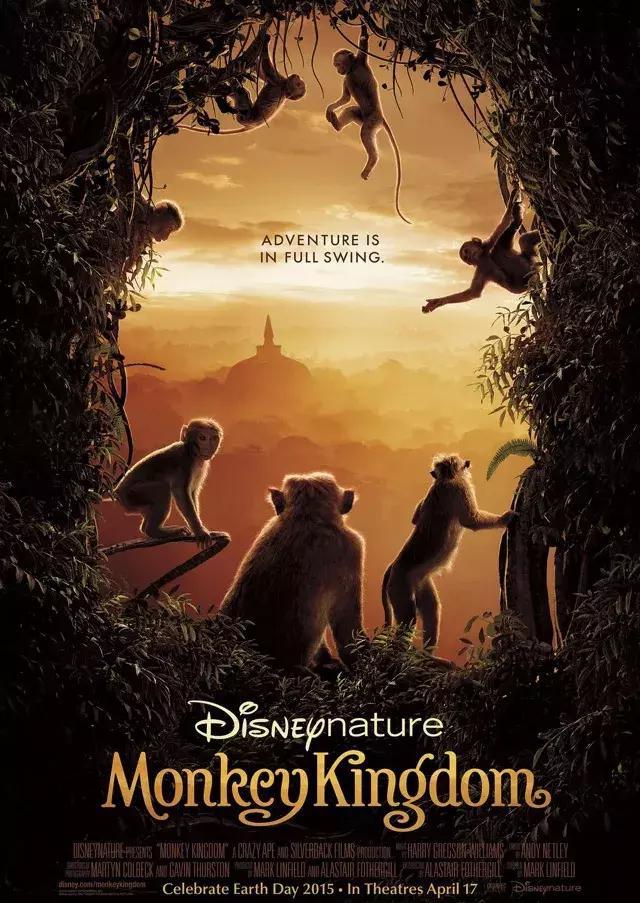 8部适合幼儿园小朋友看的世界经典动物主题纪录片