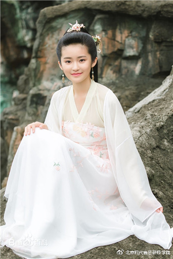 少年芈月柴蔚入读北音附中:每部戏对我来说都