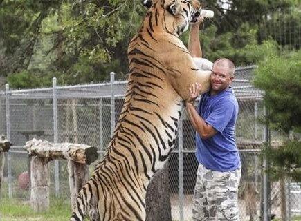 世界上体型最大的虎