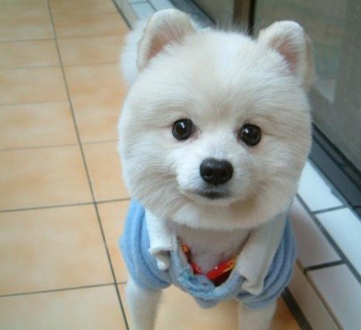 开心一刻:亲爱的,你看我穿这件衣服好看吗,领子