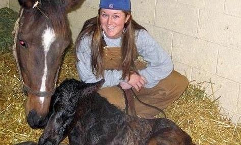 国外女子为马做人工授精, 但过程中要时刻注意