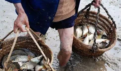深藏着秘密的黔东南少数民族饭桌上的图腾