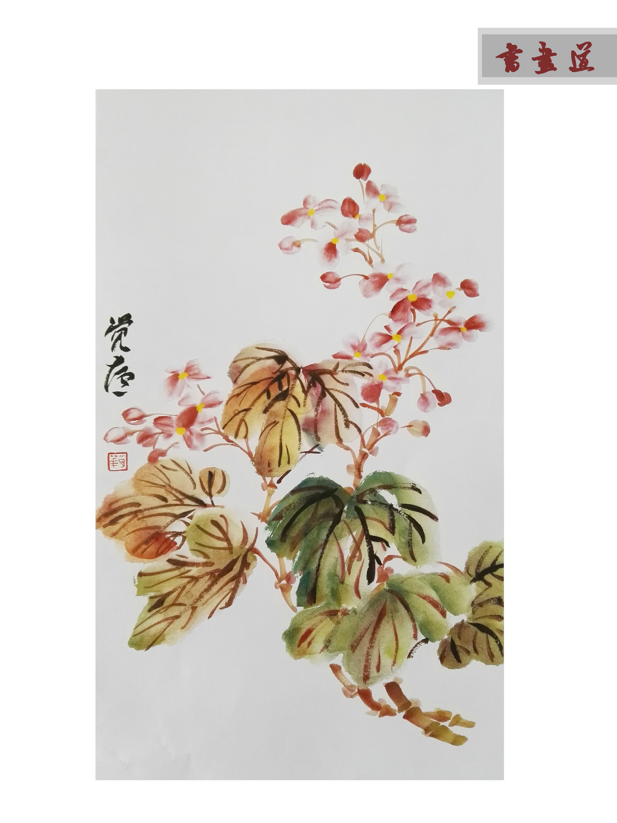 『国画入门』——秋海棠的画法