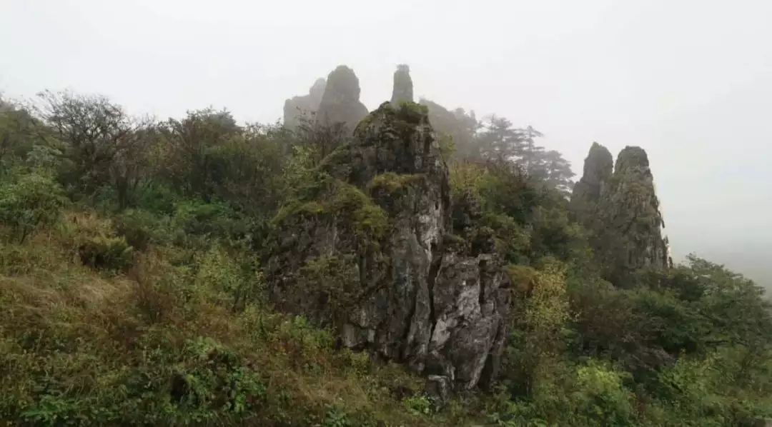 ���μǡ������ɾ���ũ��