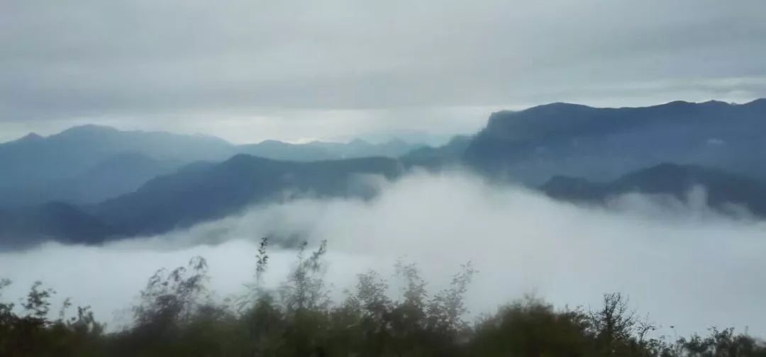 ���μǡ������ɾ���ũ��