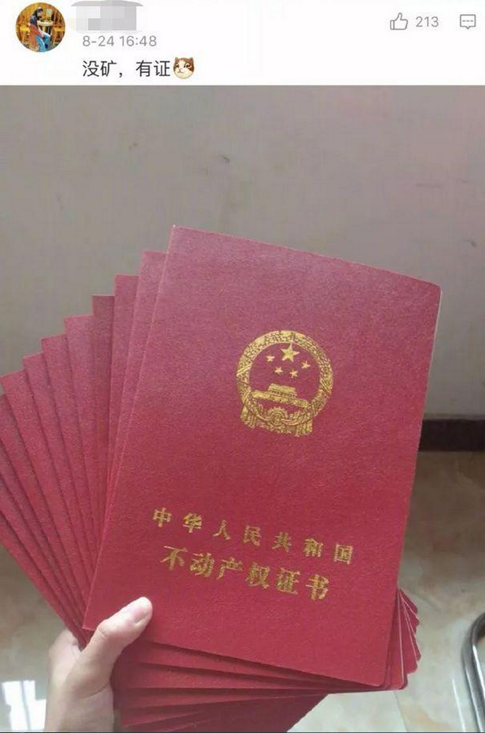 家里有矿,网友:实力上演不着痕迹的炫富