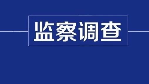 投案自首 息县环保局局长曹良军接受纪律审查