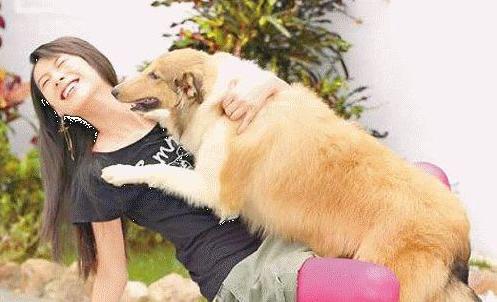 为什么会有“男不养猫，女不养狗”这种说法?