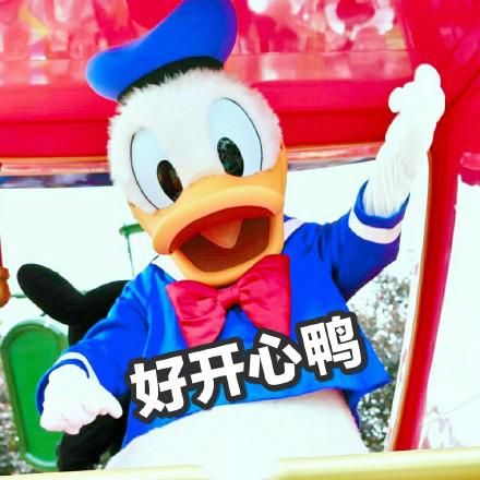 唐老鸭约人表情包:今天吃什么鸭、求安排鸭、