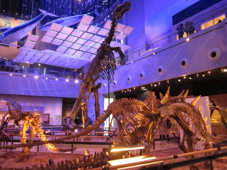 广州最适合一日游的免费景点,收好,够你任性玩