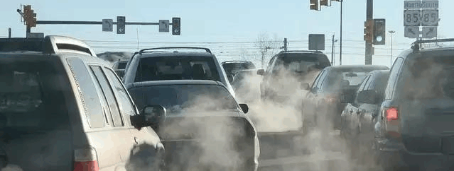 怒了! 熊了! 中国禁售燃油车, 为何奔驰却五味杂陈?