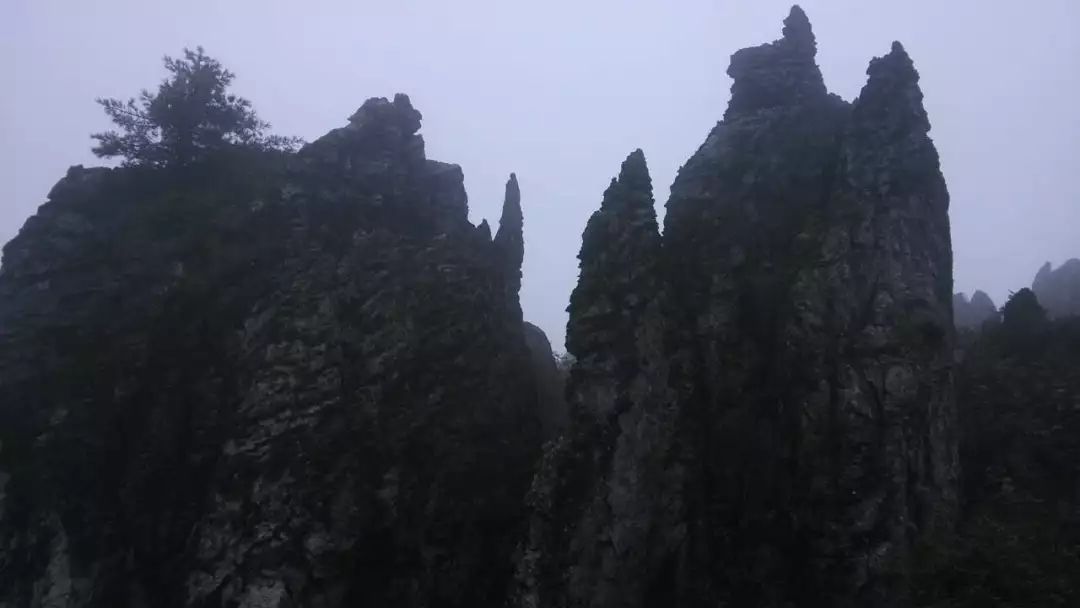 ���μǡ������ɾ���ũ��