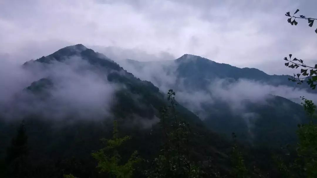 ���μǡ������ɾ���ũ��