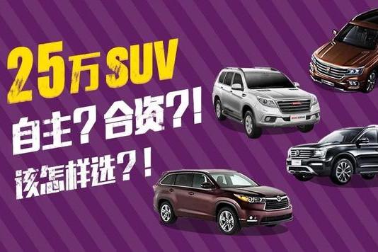 25万我都能买个汉兰达了，为什么要买个自主品牌？