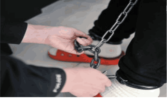 被执行死刑的罪犯, 死后他们的尸体怎么处理? 是个很现实的问题