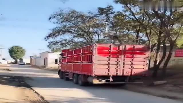 老板新请的卡车女司机，第一次和她跑车，这倒车技术真让我佩服！