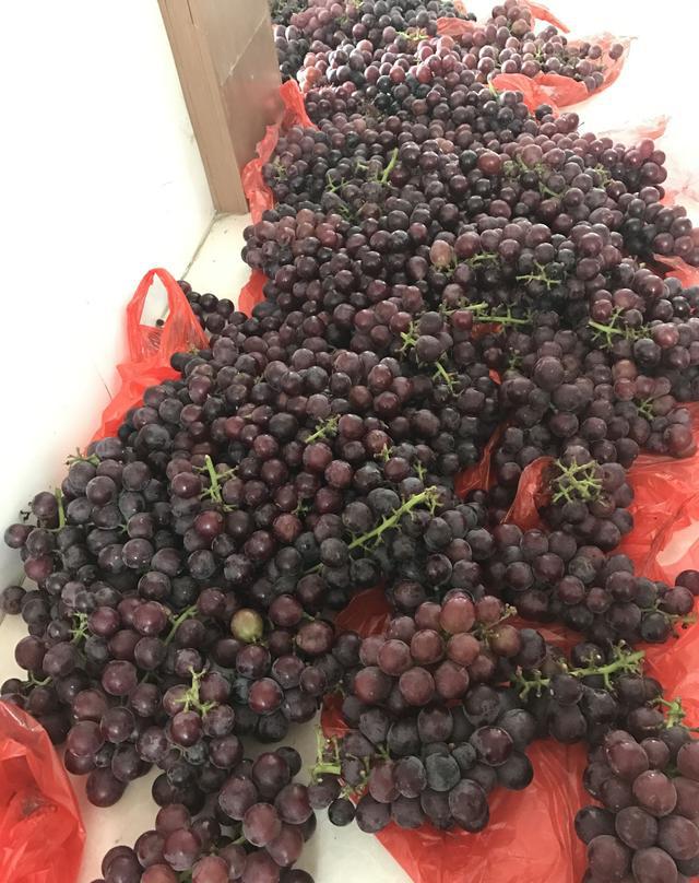 这样的葡萄酒，你会在家动手制作吗？
