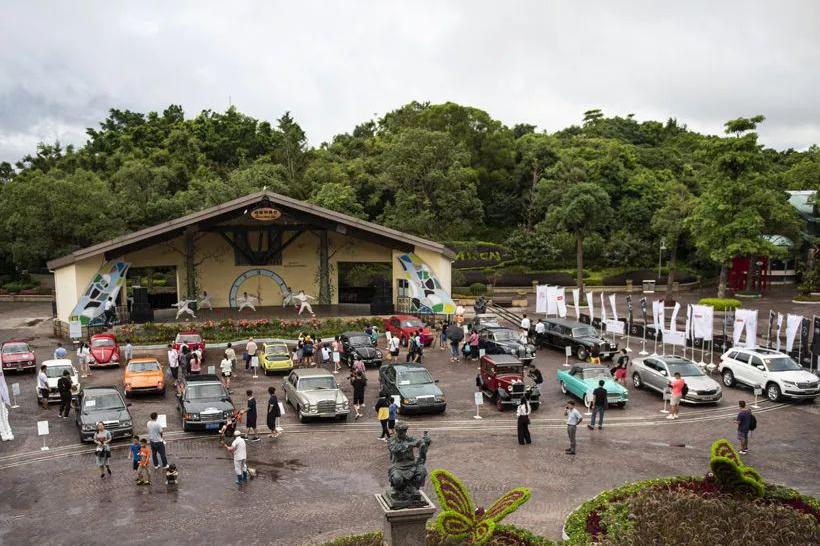 任岁月洗炼，不朽亦精彩