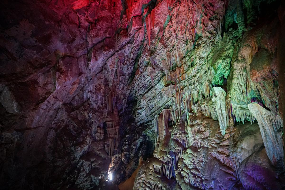 “15-20万紧凑型两厢车“最全资讯一网打尽，有我就够了