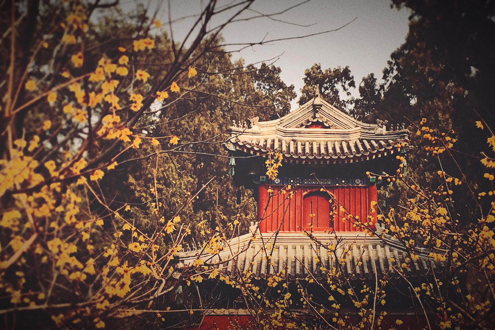 北京卧佛寺-名寺-图片