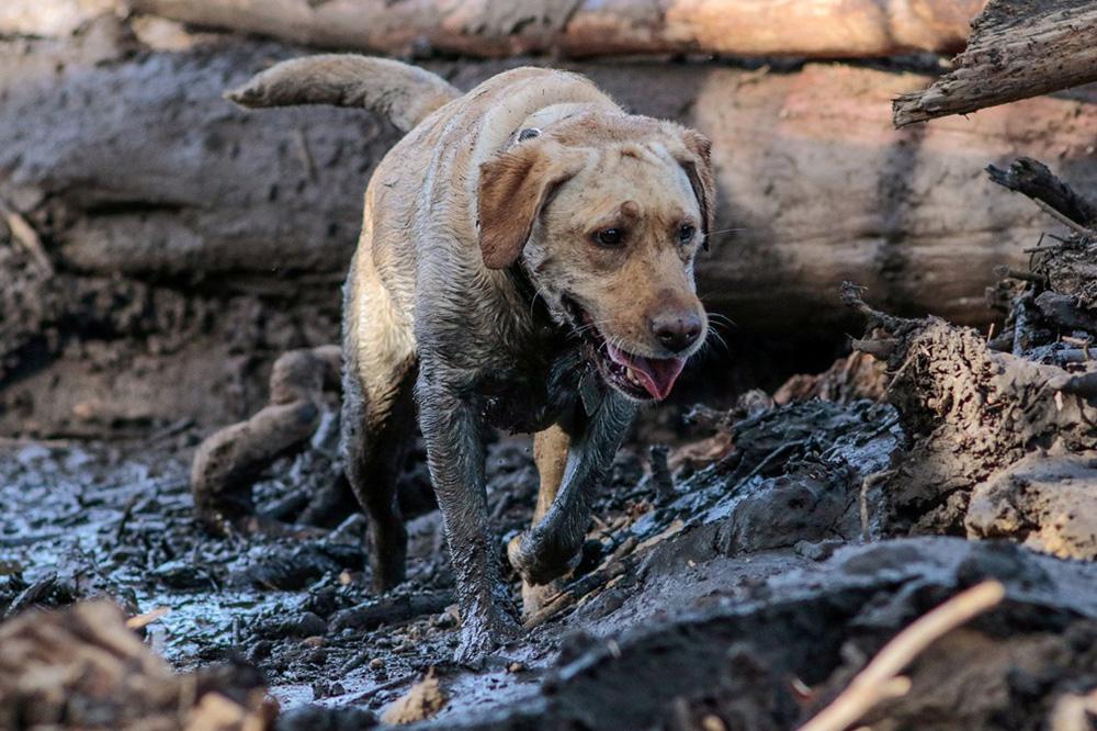 全球气候灾害,谁在熟视无睹?...