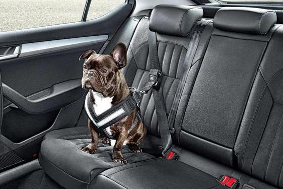 开车的人很多 但是懂保养的却很少