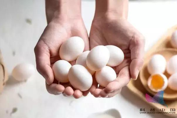 鸡蛋、鸭蛋、鹌鹑蛋、鹅蛋…到底有什么区别？不知道的就亏大了