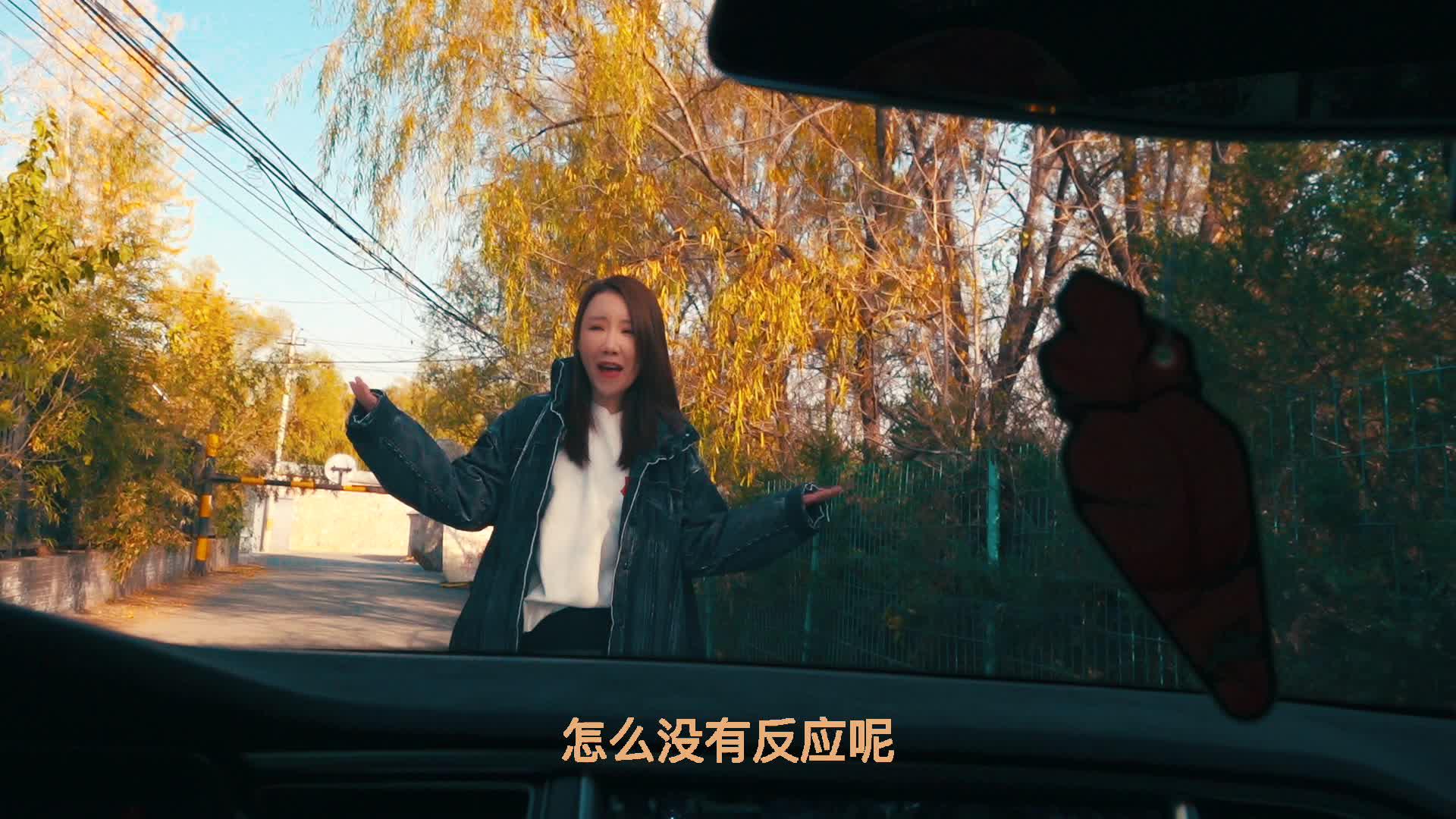 有一天 我的车“醒了”