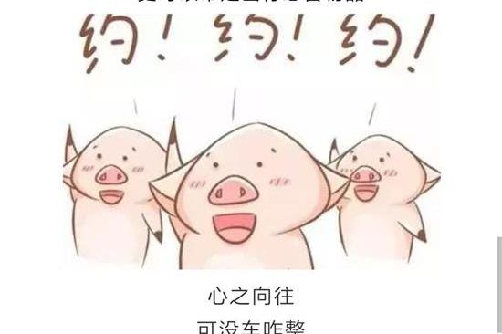 真国六，放心购！周末惠民团车网车展，惠聚来袭！