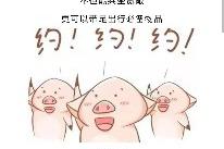 真国六，放心购！周末宝体车展，惠聚来袭！