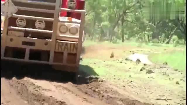 牵引几台挂车还走烂泥路，比火车还牛的卡车见过吗