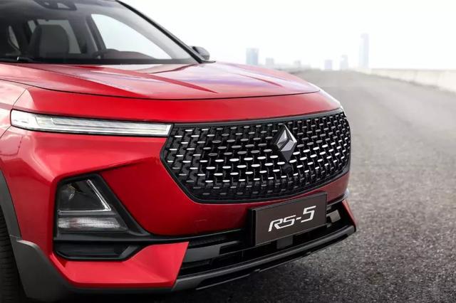 自主品牌向上之路，单单换车标就能实现？