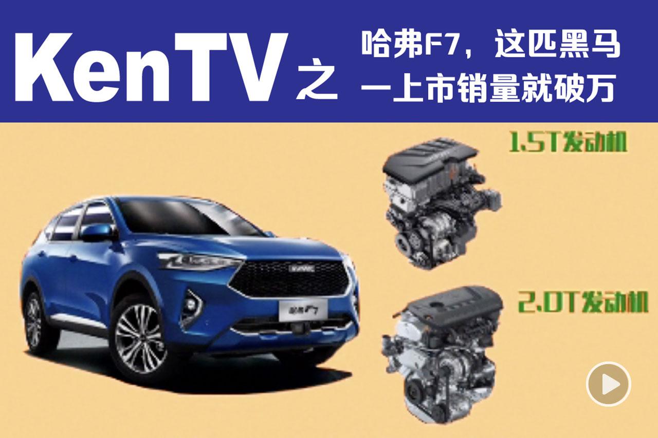 凭什么？这匹黑马一上市销量就破万！