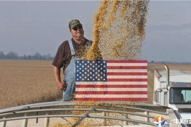 736万吨！5月，中国大豆进口大跌24%!美国大豆减少53%,这3国捡漏?