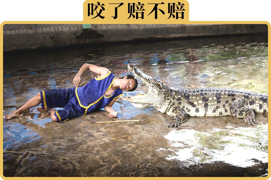 不计免赔险是什么？一口气给你讲清楚