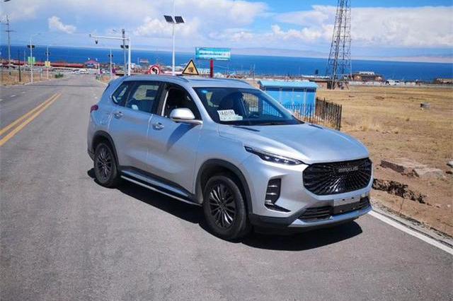 出自国产品牌，之前一直以商务车为主，现在也开始涉及家用车领域