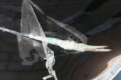 “红旗“必看资讯都在这，你错过了吗