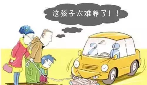 交强险是不是浪费钱？有多大用处？