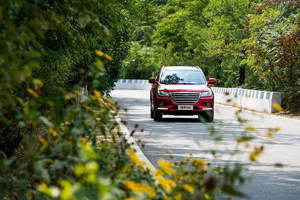 近期“哈弗“动态汇总，都在这个专题里