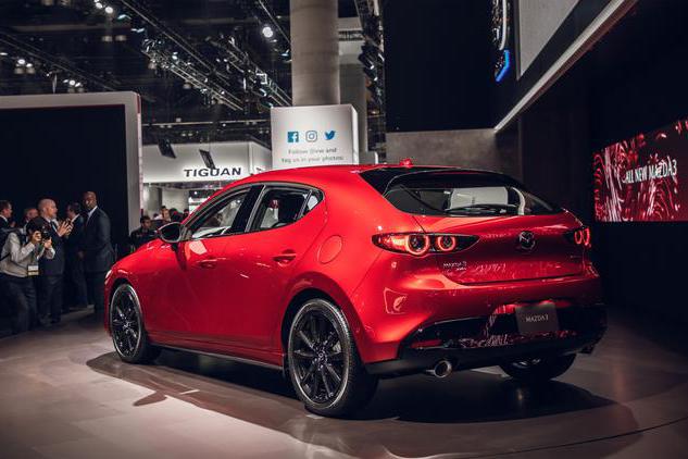 “小钢炮“最新资讯都在这了，就等你来