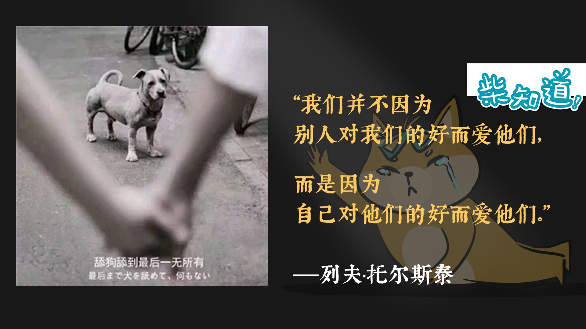 如何快速让TA对你产生好感?心理学小技巧了解一下