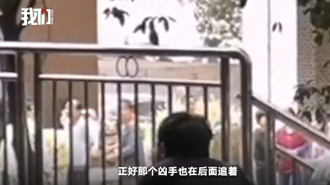 9岁男童遇难前监控:孩子开始灵活躲避 摔一跤被逮(含视频)