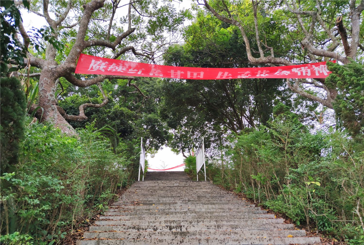 连州镇人口_连州镇何翠华(2)