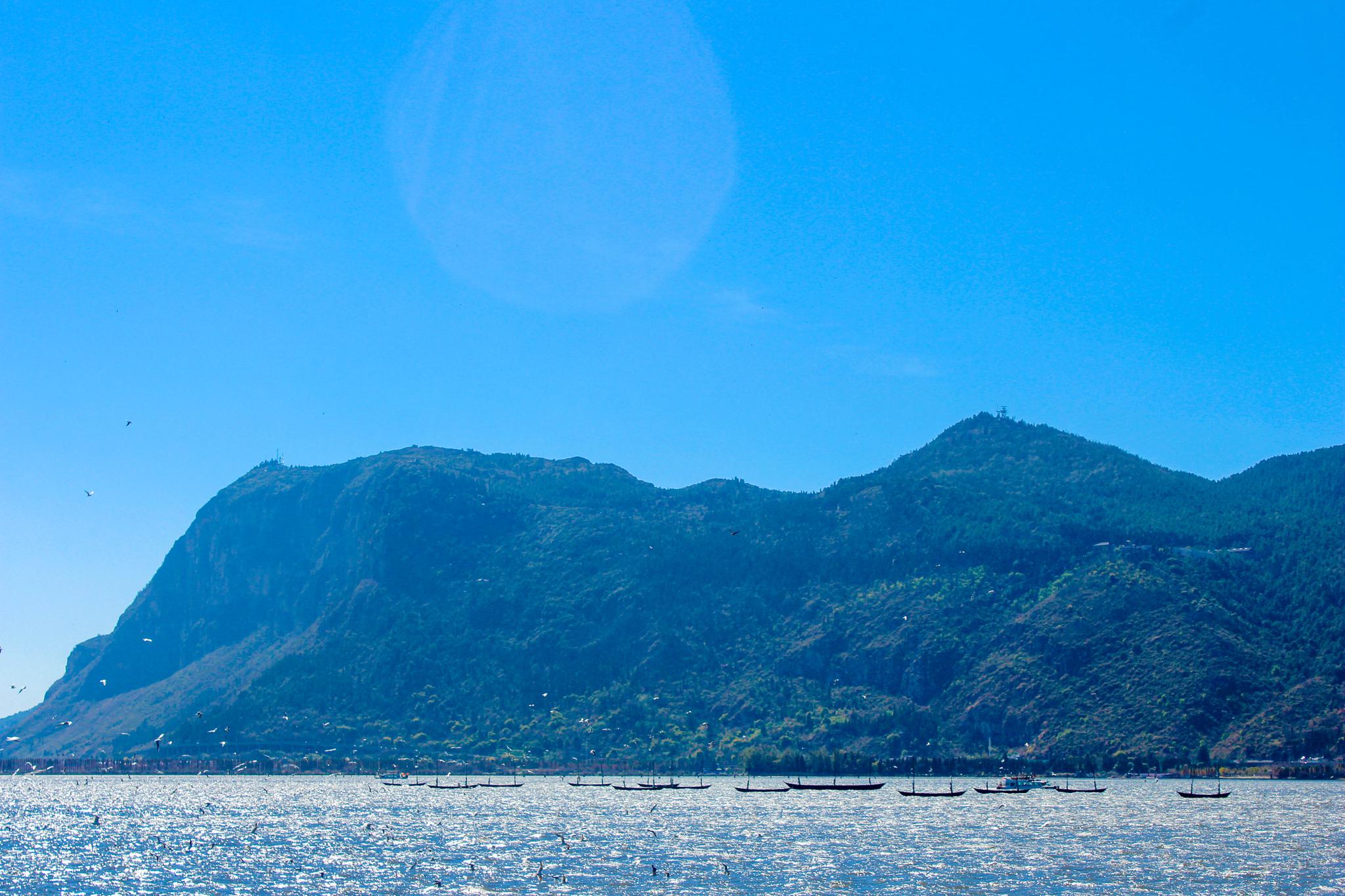 中国房地产会像日本房地产一样走向最后的疯狂