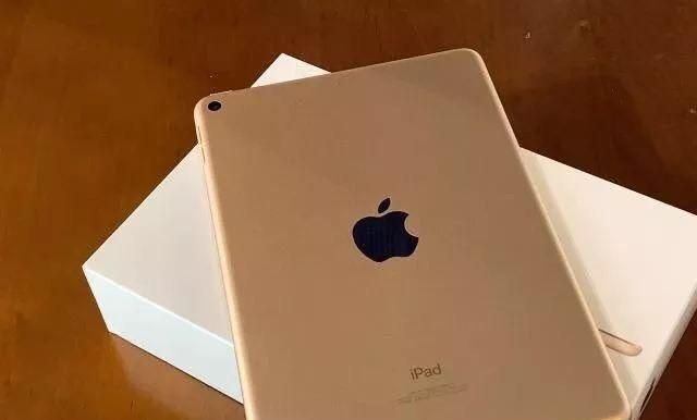 续航能力:ipad mini5 采用了5000mah电池,标配10w的充电器,充满电差不