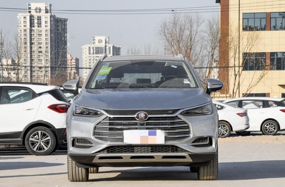 “比亚迪“必看资讯都在这，你错过了吗