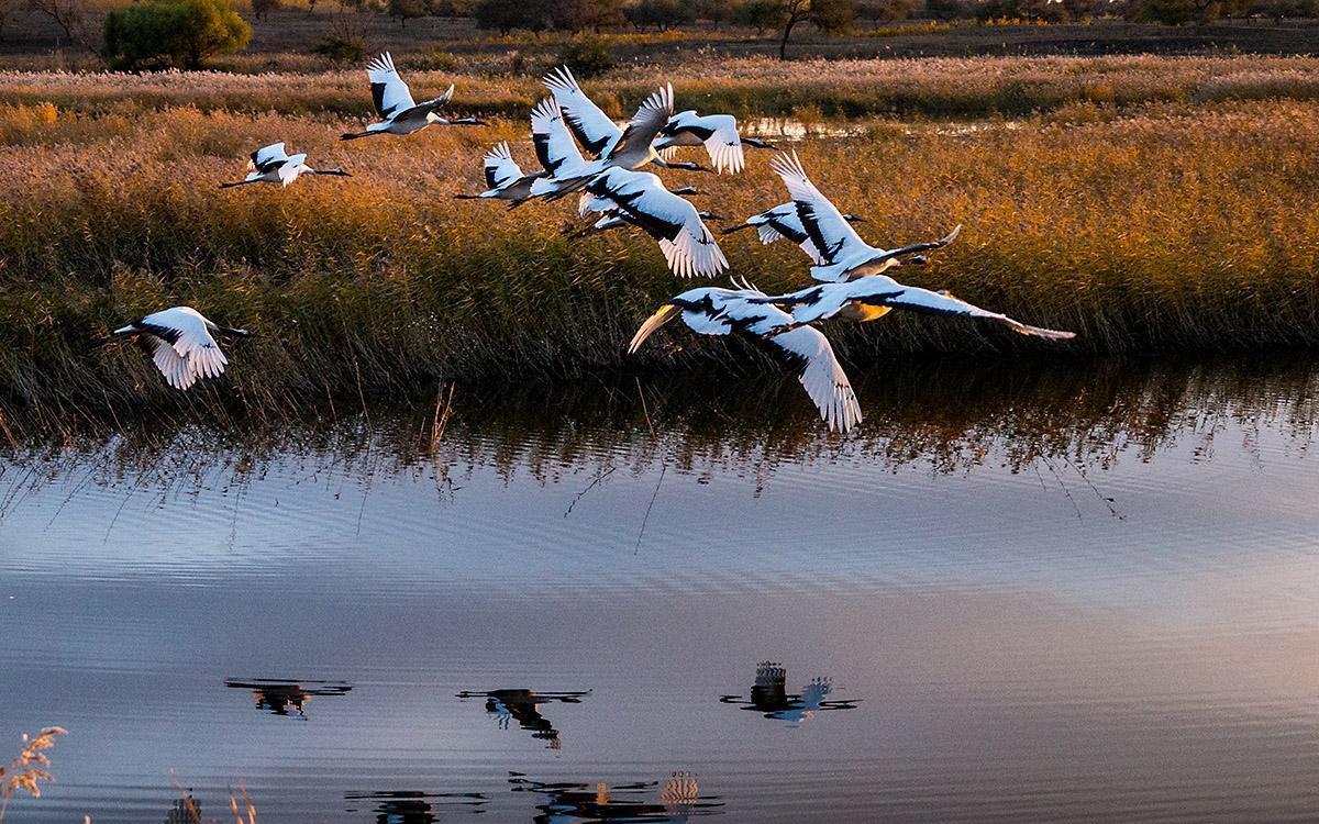 白城微信扫二维码上门服务可信吗？全面解析白城及周边便捷生活服务