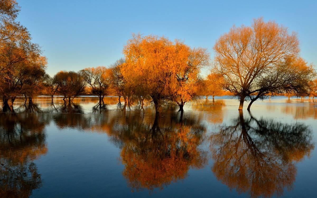 白城微信扫二维码上门是真的吗